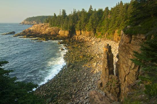 Seven Arts Local Artisan Gallery